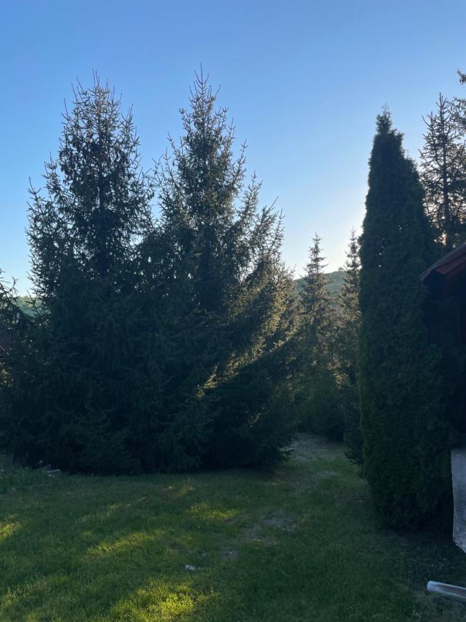 Horvath Vendeghaz Hotel Monosbel Bagian luar foto
